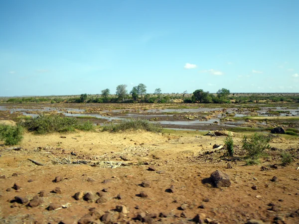 Afrika savana — Stok fotoğraf