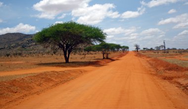 Tsavo park peyzaj