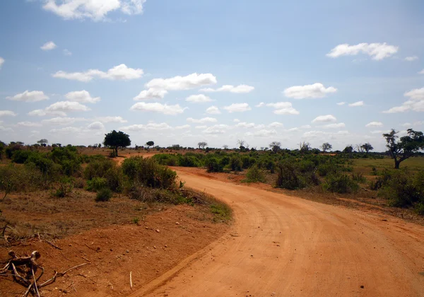 Landschaft im tsavo park — Stockfoto