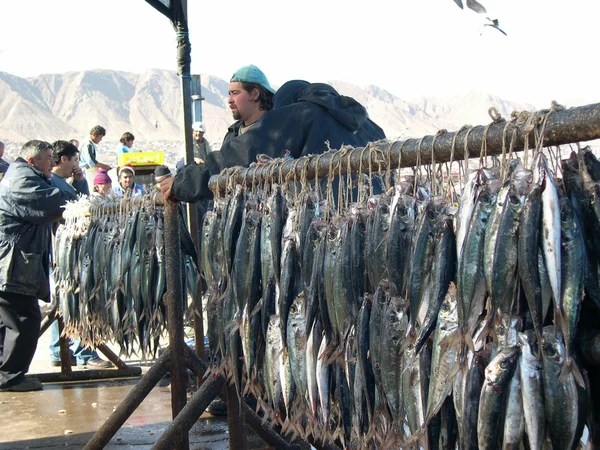 Рибний ринок в Антофагаста — стокове фото