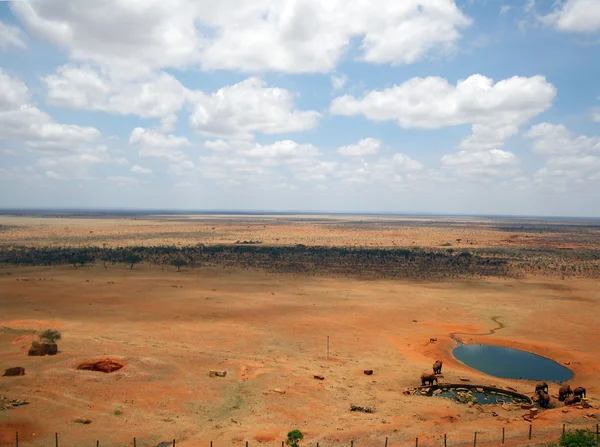 Tsavo east nationalpark — Stockfoto