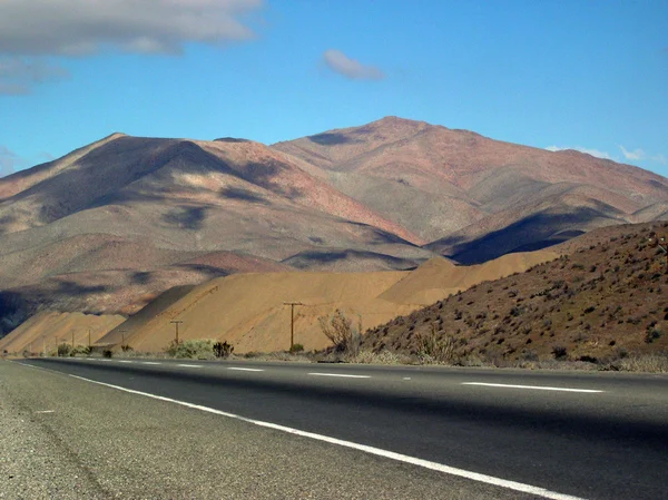 Panamerikan karayolu