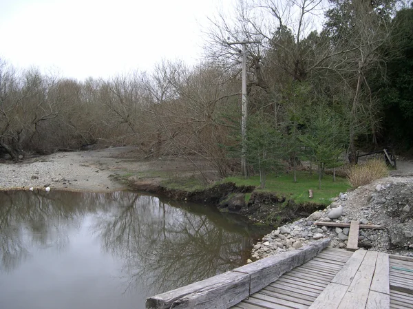 Bosque y río — Foto de Stock