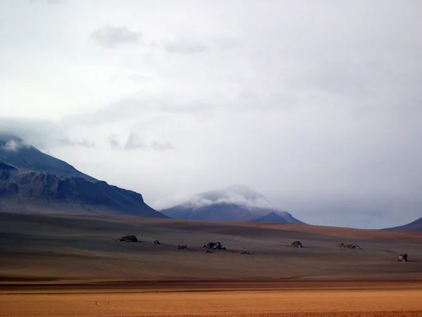 Boliviaanse altipiano — Stockfoto