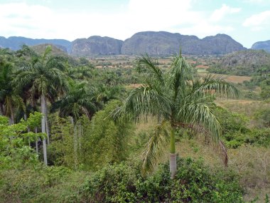 vinales vadisi