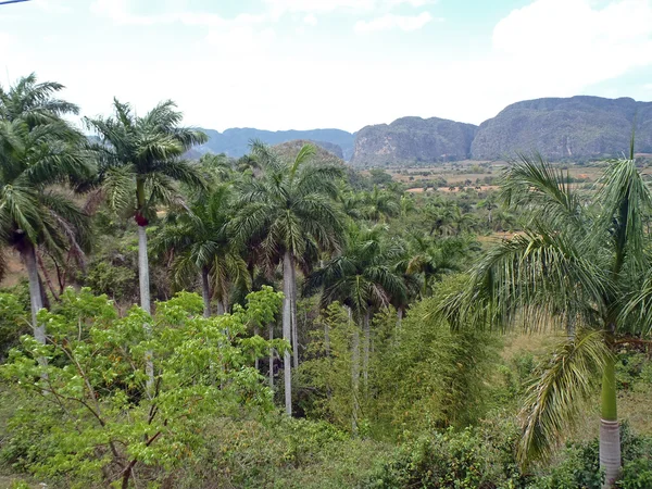 Valle de Vinales —  Fotos de Stock