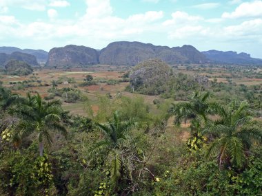 vinales vadisi