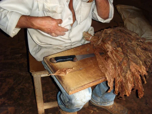 Preparazione di un "Puro Cubano", Pinar del Rio — Foto Stock