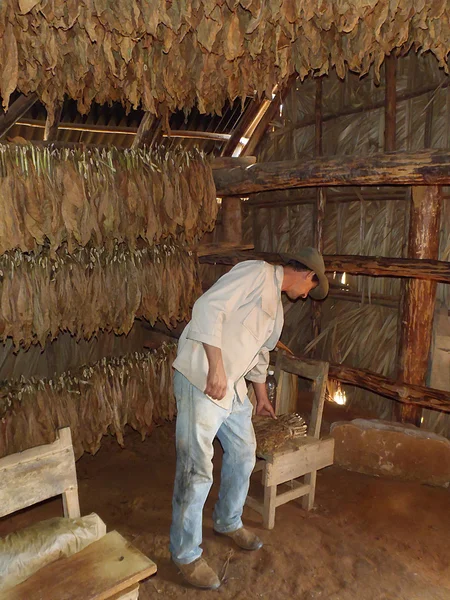 Προετοιμασία ένα "puro cubano", Πινάρ ντελ Ρίο — Φωτογραφία Αρχείου
