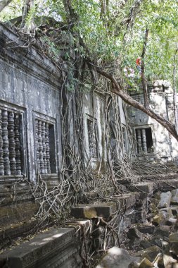 Ta Prohm