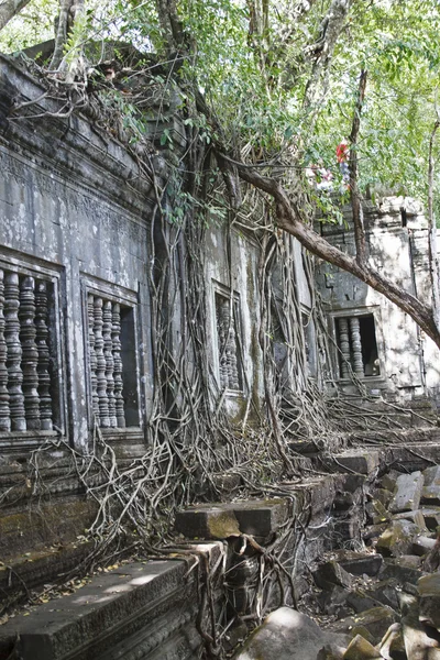 Ta Prohm — Stock Photo, Image