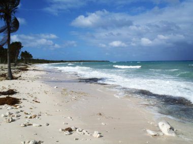 Fırtına ön geliyor