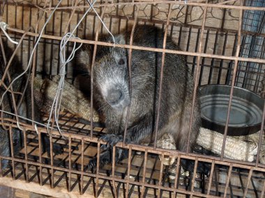 Beautyful gülümseme