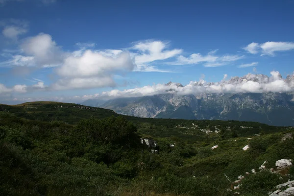 Bergets ängar — Stockfoto