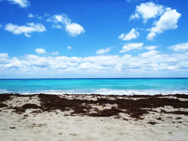 Relaxando em uma praia tropical — Fotografia de Stock