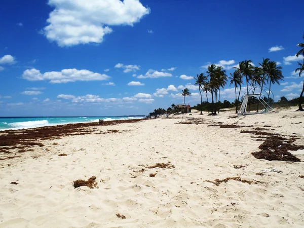 Отдых на тропическом пляже — стоковое фото