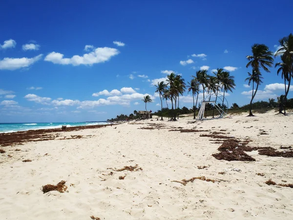 Relaksując się na tropikalnej plaży — Zdjęcie stockowe