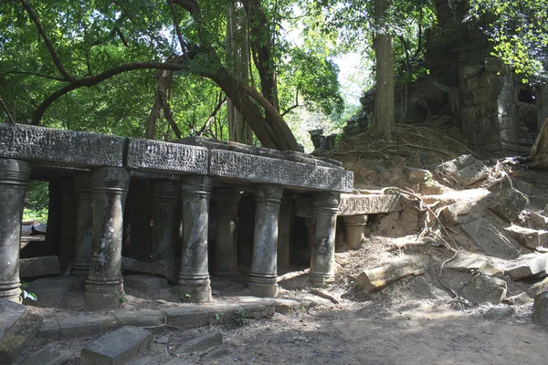 Starověké angkor — Stock fotografie
