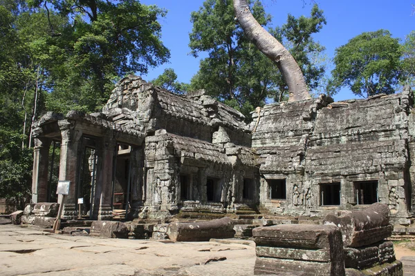 Ruiny świątyni w pobliżu angkor wat w Kambodży — Zdjęcie stockowe