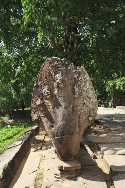 antik kalıntılar ormanın, angkor wat, cambodia