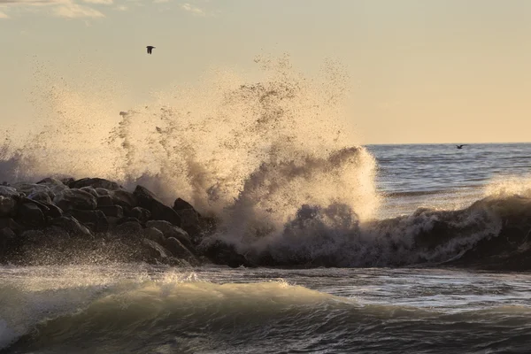 Mares ásperos — Foto de Stock