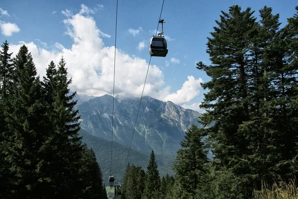 Gondola in forest — Stock Photo, Image