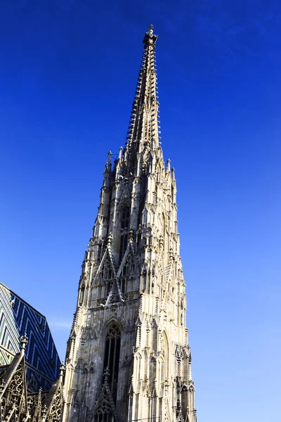 Die Votivkirche — Stockfoto