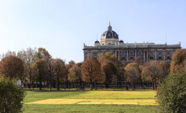 Naturhistorisches Müzesi, Viyana