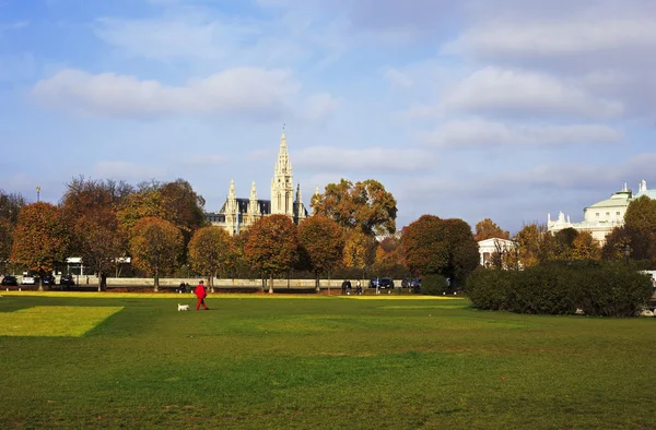 Picture of a park in Vienna, with Wiener Rathaus (Vienna City Ha — Stock Photo, Image