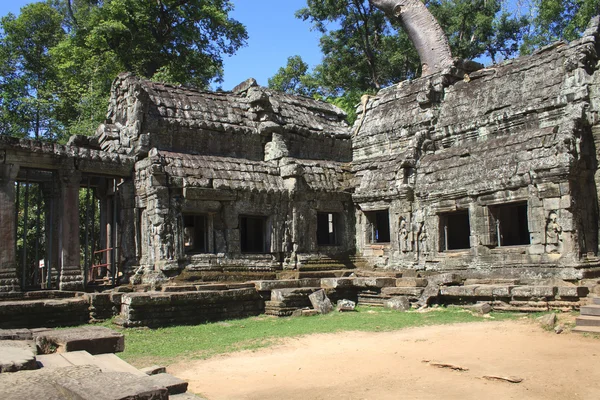 Rovine di Ta prohm, Angkor Wat, Cambogia — Foto Stock