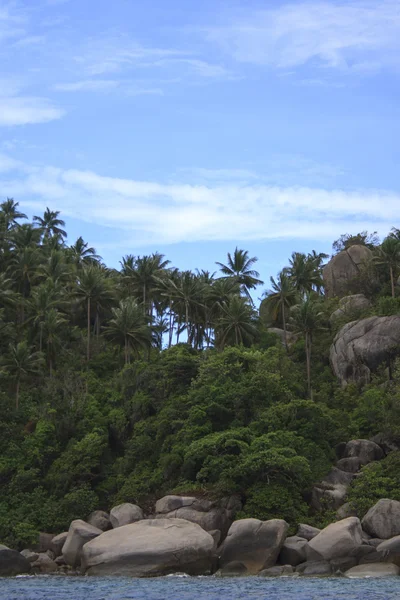 Isola tropicale — Foto Stock
