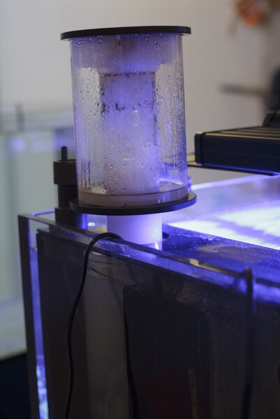 скиммер аквариумных белков
