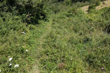 Francigena, İtalya üzerinden manzara manzarası