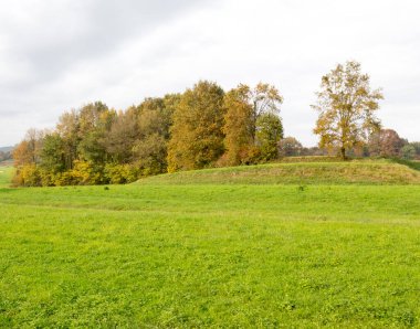 Lombardy, İtalya 'da Milano' ya yakın kırsal manzara