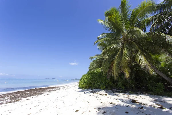 Digue Seychellen April 2019 Zicht Zandstranden Seychells — Stockfoto