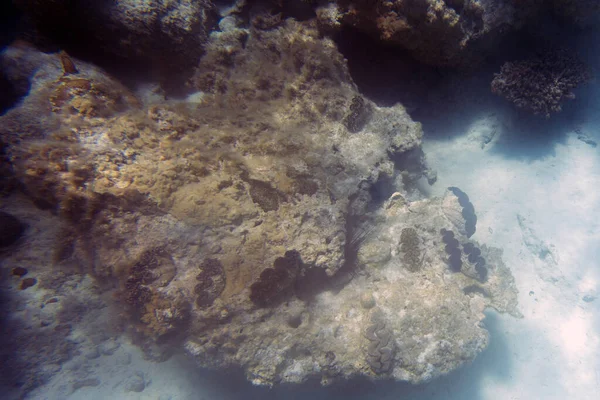 新喀里多尼亚美丽的珊瑚礁景观 — 图库照片