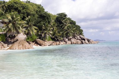 Seyşeller adalarında harika bir tropikal plaj.