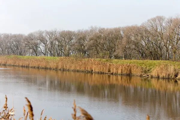 Uitzicht Natuur Comacchio Italië — Stockfoto