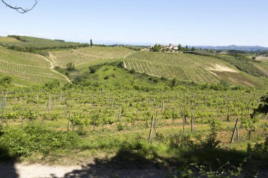 İtalya 'nın Toskana kentindeki kırsal manzara