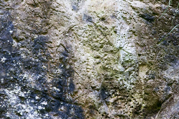 View Petroglyph Valdassa North Italy — Stock Photo, Image