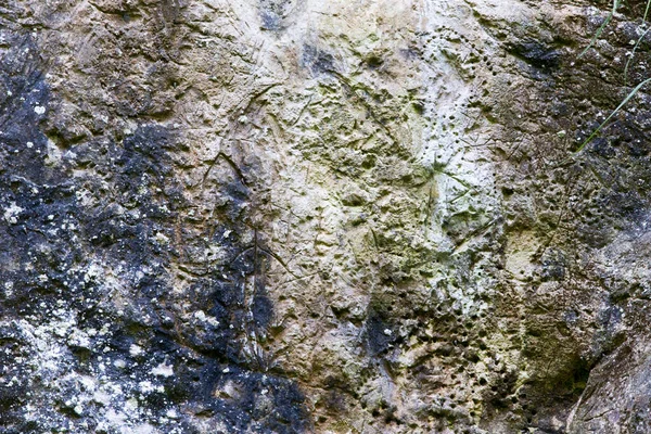 Näkymä Petroglyfiin Valdassa Pohjois Italia — kuvapankkivalokuva