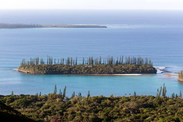Фото Природы Ile Des Pins Новой Каледонии — стоковое фото