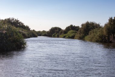 Sardunya 'daki Coghinas nehrinin manzarası