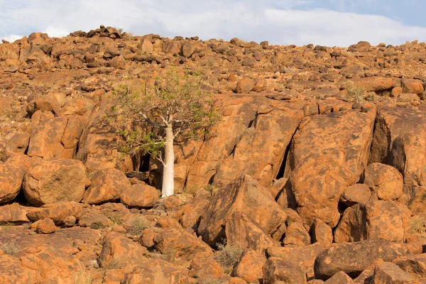 Фото Трьох Скельній Пустелі Намібія — стокове фото