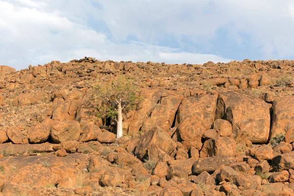 Фото Трьох Скельній Пустелі Намібія — стокове фото