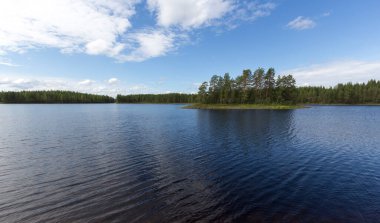Finlandiya 'da göl bölgesinde manzara