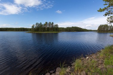 Finlandiya 'da göl bölgesinde manzara