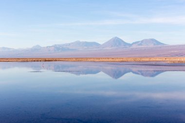 Şili 'de kış boyunca Chaxa gölünün manzarası