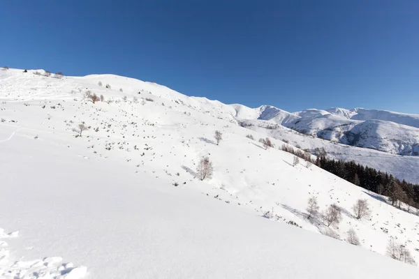 Vista Rota Snowshoeing Norte Itália — Fotografia de Stock