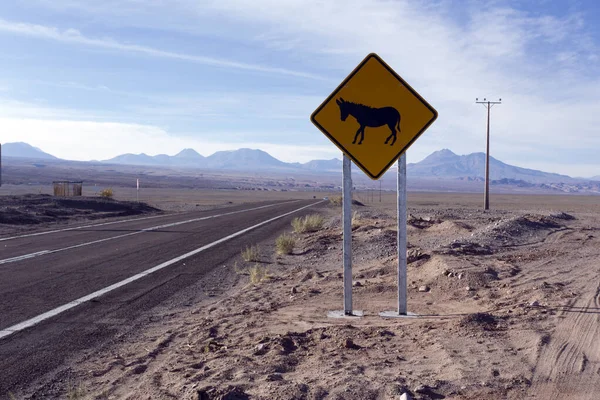 Atacama Chile August 2019 View Wild Animal Road Sign Chile — Stock Photo, Image